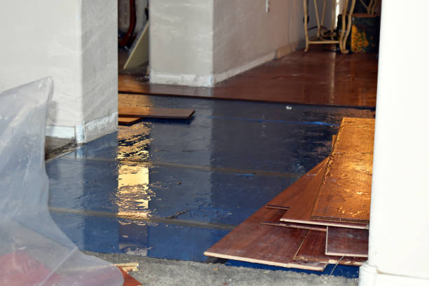 Professional Flood Cleanup technician working in Laurier, WA