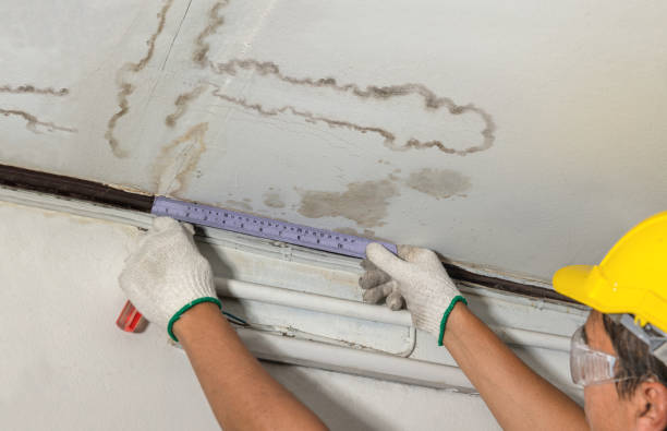 Reliable Flood Cleanup contractor in Laurier, WA by Water Damage Irwin
